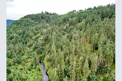 0 Silver Creek Canyon, Silverton, OR 97381 - Photo 8