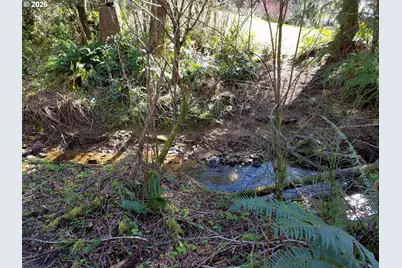 Holly Heights Ave #TL 223, Netarts, OR 97143 - Photo 4
