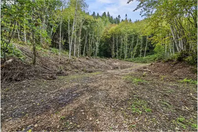 E State Route 4, Cathlamet, WA 98612 - Photo 16