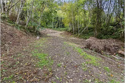 E State Route 4, Cathlamet, WA 98612 - Photo 14