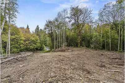 E State Route 4, Cathlamet, WA 98612 - Photo 18