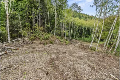E State Route 4, Cathlamet, WA 98612 - Photo 20