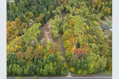 E State Route 4, Cathlamet, WA 98612 - Photo 6