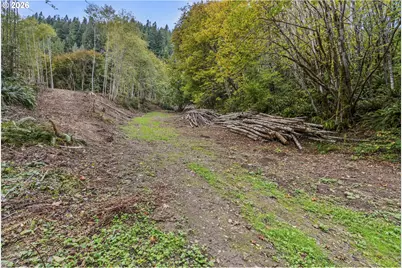 E State Route 4, Cathlamet, WA 98612 - Photo 12