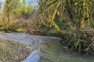 65586 Nehalem Hwy, Vernonia, OR 97064 - Photo 38