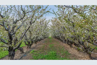 4510 Oleary Rd, Hood River, OR 97031 - Photo 12