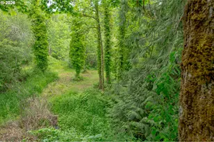 25715 NW Dodson Rd, Yamhill, OR 97148 - Photo 46