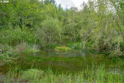 25715 NW Dodson Rd, Yamhill, OR 97148 - Photo 44
