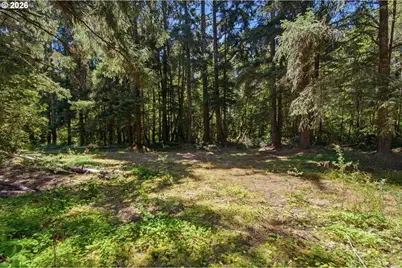 9905 Sandridge Rd, Long Beach, WA 98631 - Photo 12