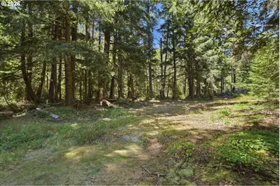9905 Sandridge Rd, Long Beach, WA 98631 - Photo 6