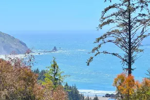 19921 Whaleshead Rd, Brookings, OR 97415 - Photo 4