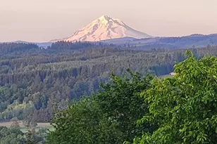 34640 S Ellis Rd, Molalla, OR 97038 - Photo 48