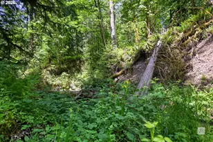 23380 SE Howlett Rd, Eagle Creek, OR 97022 - Photo 42