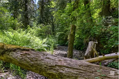 23380 SE Howlett Rd, Eagle Creek, OR 97022 - Photo 40