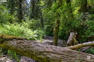 23380 SE Howlett Rd, Eagle Creek, OR 97022 - Photo 40