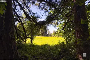 23380 SE Howlett Rd, Eagle Creek, OR 97022 - Photo 40