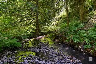 23380 SE Howlett Rd, Eagle Creek, OR 97022 - Photo 4