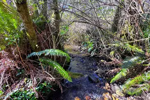 96510 Martin Ranch Rd, Brookings, OR 97415 - Photo 2