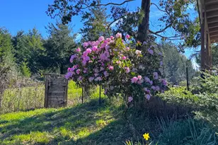 96510 Martin Ranch Rd, Brookings, OR 97415 - Photo 42