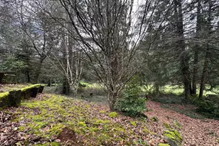 36350 Dubarko Rd, Sandy, OR 97055 - Photo 30