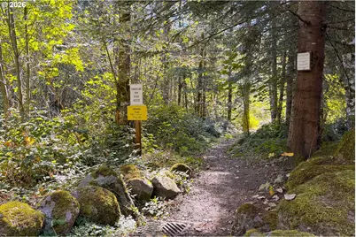 64911 E Sandy River Ln, Rhododendron, OR 97049 - Photo 26