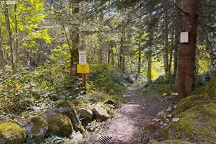 64911 E Sandy River Ln, Rhododendron, OR 97049 - Photo 26