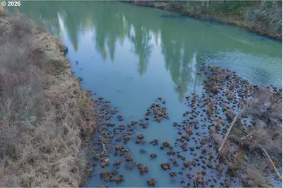 27914 Walkerwood Ln, Sweet Home, OR 97386 - Photo 44