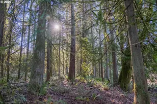 27914 Walkerwood Ln, Sweet Home, OR 97386 - Photo 38