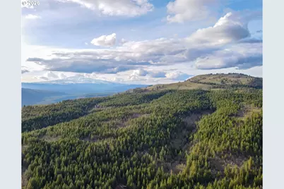 0 Lot 15 Greyback Mt Rd, Goldendale, WA 98620 - Photo 6
