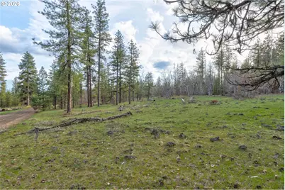 0 Lot 15 Greyback Mt Rd, Goldendale, WA 98620 - Photo 4