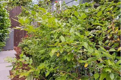 5417 SE Boise St, Portland, OR 97206 - Photo 42