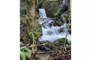 40153 Booth Kelly Rd, Springfield, OR 97478 - Photo 42