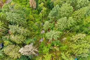 40153 Booth Kelly Rd, Springfield, OR 97478 - Photo 44