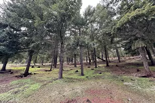 35 Thompson, Goldendale, WA 98620 - Photo 20