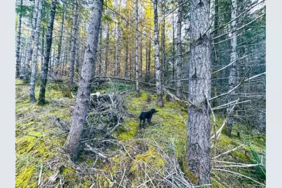 Liberty Rd #TL100, Dallas, OR 97338 - Photo 42