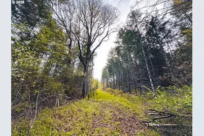 Liberty Rd #TL100, Dallas, OR 97338 - Photo 40