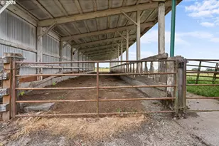 53767 E Honeyman Rd, Scappoose, OR 97056 - Photo 36