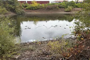 1293 Hwy 99N, Eugene, OR 97402 - Photo 46