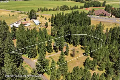 81 Lava Rd, Trout Lake, WA 98650 - Photo 4