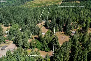 18965 Hwy 126, Walton, OR 97490 - Photo 6