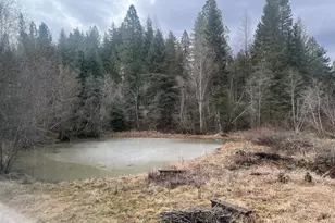 58215 Hwy 204, Weston, OR 97886 - Photo 18