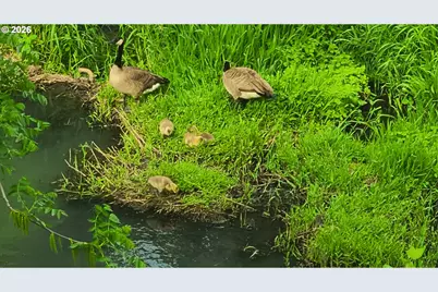 2055 SE Oak Crest Dr, Hillsboro, OR 97123 - Photo 44