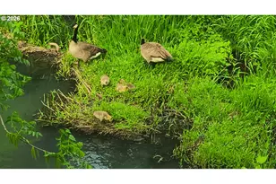 2055 SE Oak Crest Dr, Hillsboro, OR 97123 - Photo 44