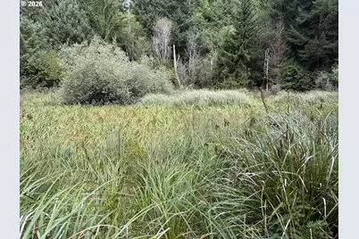 45088 Hwy 101, Sixes, OR 97476 - Photo 32