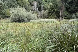 45088 Hwy 101, Sixes, OR 97476 - Photo 32