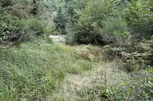 45088 Hwy 101, Sixes, OR 97476 - Photo 30