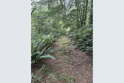 45088 Hwy 101, Sixes, OR 97476 - Photo 22