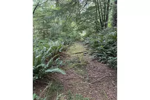 45088 Hwy 101, Sixes, OR 97476 - Photo 22