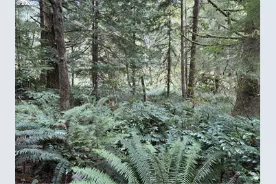45088 Hwy 101, Sixes, OR 97476 - Photo 28