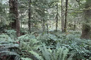 45088 Hwy 101, Sixes, OR 97476 - Photo 28